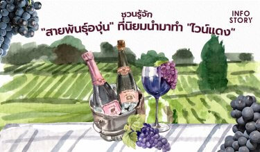 ชวนรู้จัก “สายพันธุ์องุ่น” ที่นิยมนำมาทำ “ไวน์แดง”