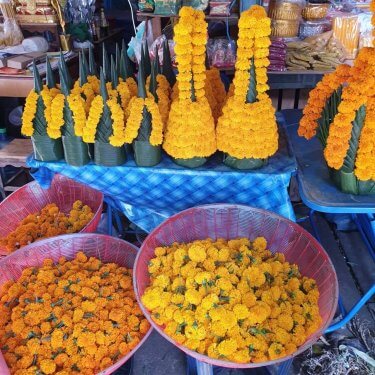 ตลาดดอกไม้สดเทศบาลนครสวรรค์