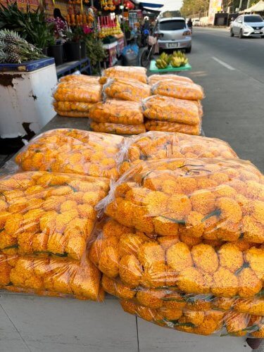 ตลาดดอกไม้สดเทศบาลนครสวรรค์