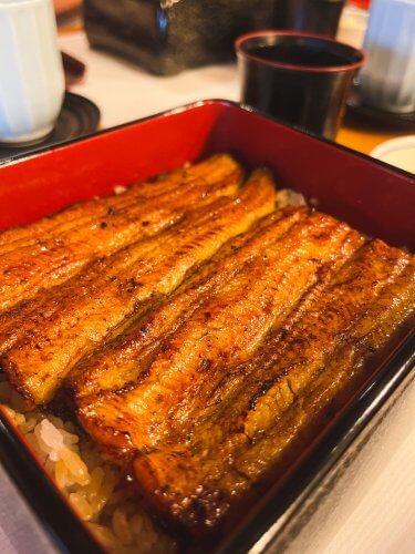 Izuei Honten : ร้านข้าวหน้าปลาไหลอายุ 300 ปีที่ผ่านสงครามโลกมาแล้วถึง 2 ครั้ง !!!